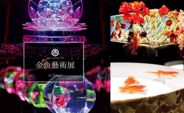 東京最具話題的「Art Aquarium金魚藝術展」首次登台，時間、地點、票價搶先看，超浮誇的視覺感受！